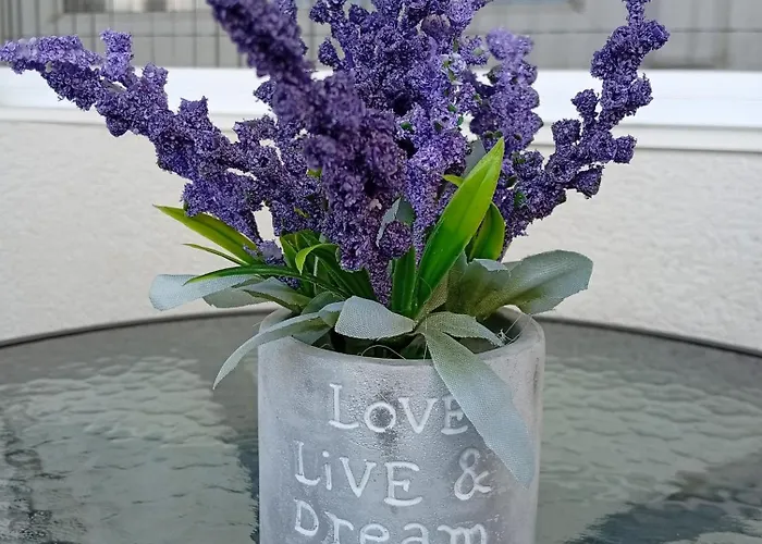 Slada نوفي ساد