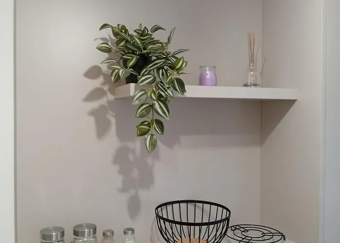 Slada نوفي ساد